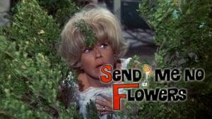 Send Me No Flowers