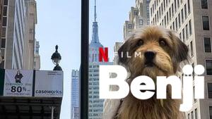 Benji