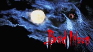 Bad Moon