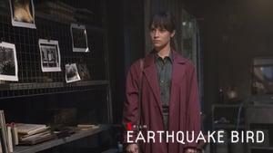 Earthquake Bird