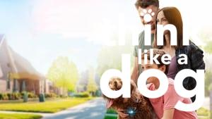 Think Like a Dog