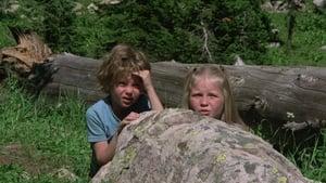 Adventures of the Wilderness Family 2