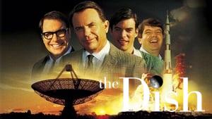 The Dish