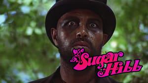 Sugar Hill