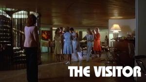 The Visitor