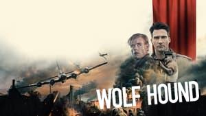 Wolf Hound