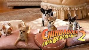 Beverly Hills Chihuahua 2