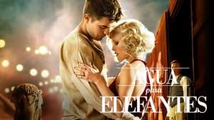Water for Elephants