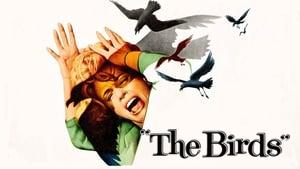 The Birds
