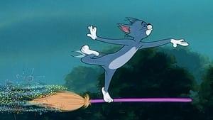 The Flying Sorceress
