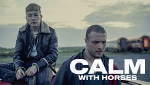 Calm with Horses