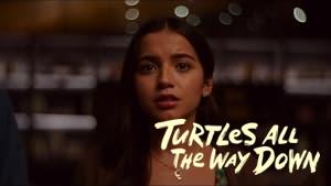 Turtles All the Way Down