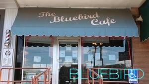 Bluebird