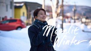 Moonlit Winter
