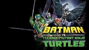 Batman vs Teenage Mutant Ninja Turtles