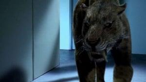 Attack of the Sabretooth