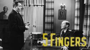 5 Fingers