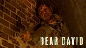 Dear David