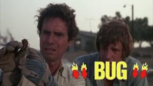 Bug