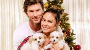Christmas Unleashed