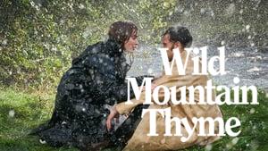 Wild Mountain Thyme