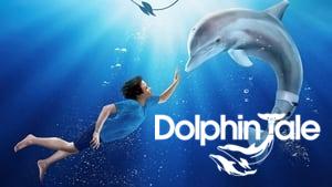 Dolphin Tale
