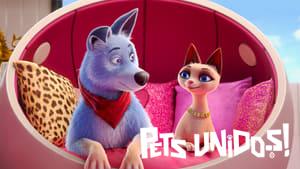 Pets United