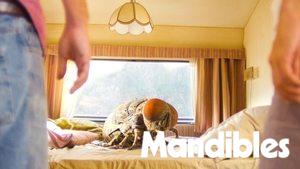 Mandibles