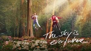 The Sky Is Everywhere
