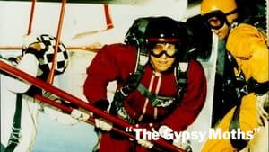 The Gypsy Moths