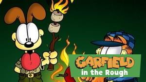 Garfield in the Rough