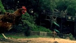 Chicken Park