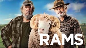 Rams