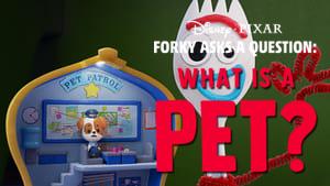 Forky Asks a Question: What Is a Pet?