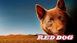 Red Dog