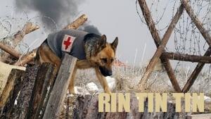 Finding Rin Tin Tin