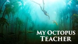 My Octopus Teacher