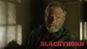 Blackthorn