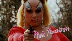 Pink Flamingos