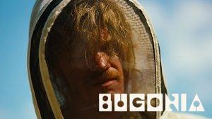 Bugonia