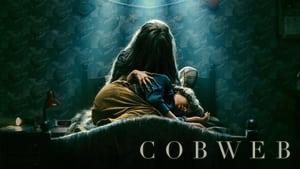 Cobweb