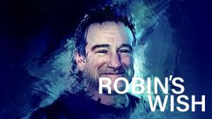 Robin's Wish