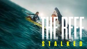 The Reef: Stalked