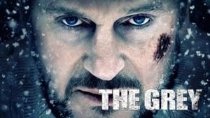 The Grey