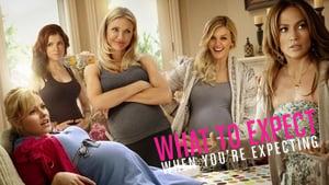 What to Expect When You're Expecting