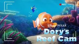 Dory's Reef Cam