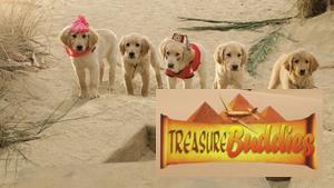 Treasure Buddies