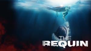 The Requin