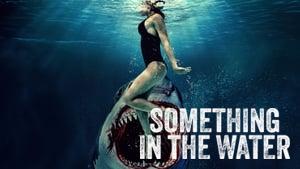 Something in the Water