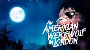 An American Werewolf in London